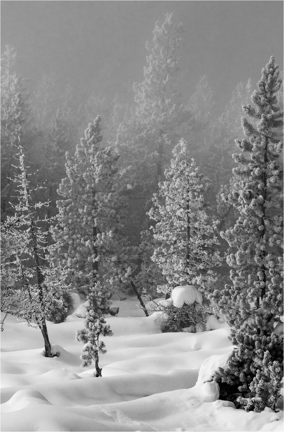 3rd PrizeOpen Mono In Class 3 By John Hoyt For Snowy Landscape FEB-2022.jpg